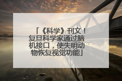《科学》刊文！复旦科学家通过脑机接口，使失明动物恢复视觉功能
