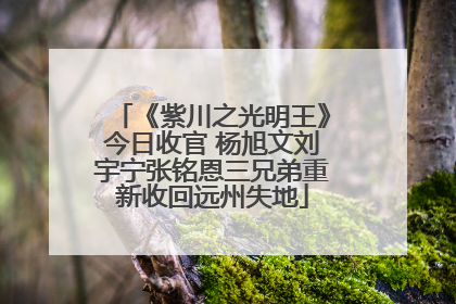 《紫川之光明王》今日收官 杨旭文刘宇宁张铭恩三兄弟重新收回远州失地