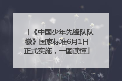 《中国少年先锋队队徽》国家标准6月1日正式实施，一图读懂