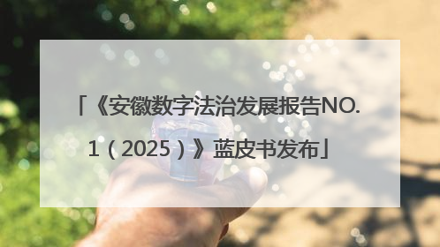 《安徽数字法治发展报告NO.1（2025）》蓝皮书发布