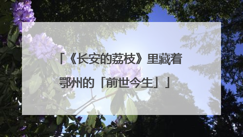 《长安的荔枝》里藏着鄂州的「前世今生」