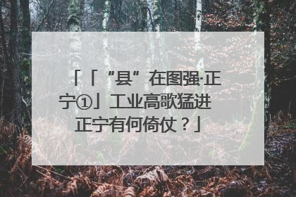 「“县”在图强·正宁①」工业高歌猛进 正宁有何倚仗？