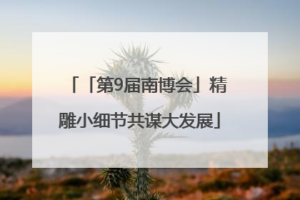 「第9届南博会」精雕小细节共谋大发展