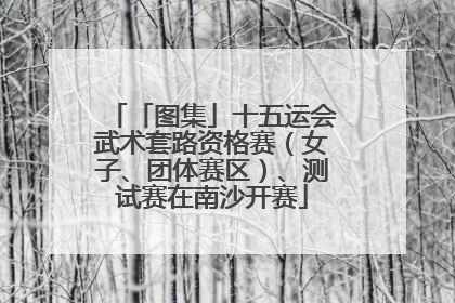「图集」十五运会武术套路资格赛（女子、团体赛区）、测试赛在南沙开赛