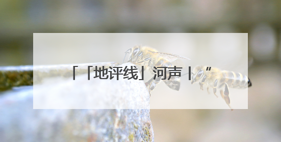 「地评线」河声丨“金针”巧穿千根线，打开善治河南新天地