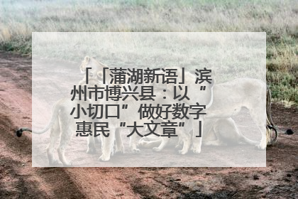 「蒲湖新语」滨州市博兴县：以“小切口”做好数字惠民“大文章”