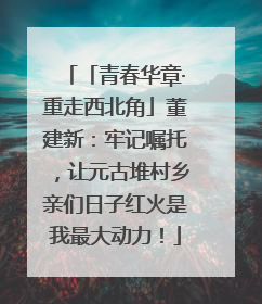 「青春华章·重走西北角」董建新：牢记嘱托，让元古堆村乡亲们日子红火是我最大动力！