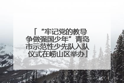 “牢记党的教导 争做强国少年”青岛市示范性少先队入队仪式在崂山区举办