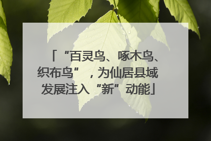 “百灵鸟、啄木鸟、织布鸟”，为仙居县域发展注入“新”动能