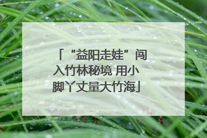 “益阳走娃”闯入竹林秘境 用小脚丫丈量大竹海