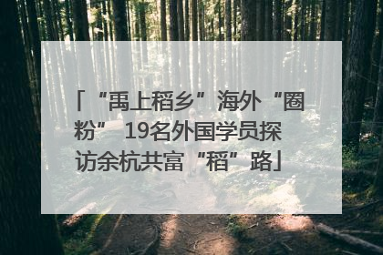 “禹上稻乡”海外“圈粉” 19名外国学员探访余杭共富“稻”路