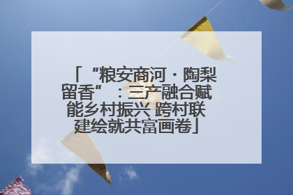 “粮安商河・陶梨留香”：三产融合赋能乡村振兴 跨村联建绘就共富画卷