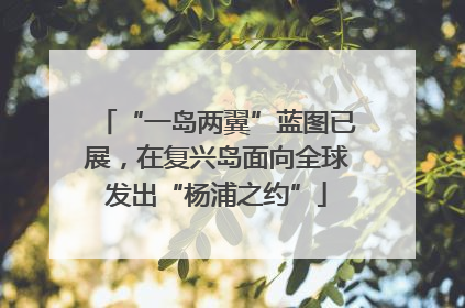“一岛两翼”蓝图已展，在复兴岛面向全球发出“杨浦之约”