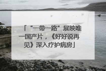 “一带一路”展映唯一国产片，《好好说再见》深入疗护病房