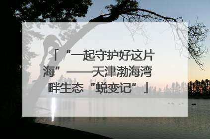 “一起守护好这片海”——天津渤海湾畔生态“蜕变记”