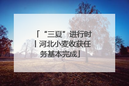 “三夏”进行时丨河北小麦收获任务基本完成