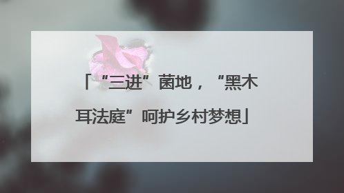 “三进”菌地，“黑木耳法庭”呵护乡村梦想