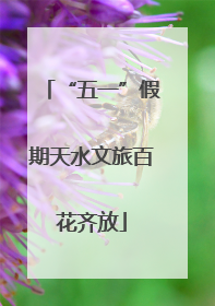 “五一”假期天水文旅百花齐放