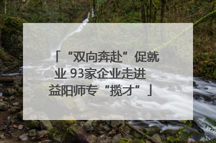 “双向奔赴”促就业 93家企业走进益阳师专“揽才”