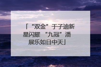 “双金”于子迪新星闪耀 “九冠”潘展乐如日中天