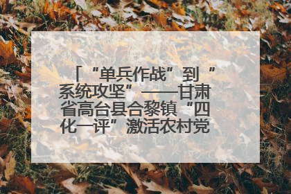 “单兵作战”到“系统攻坚”——甘肃省高台县合黎镇“四化一评”激活农村党员管理新引擎