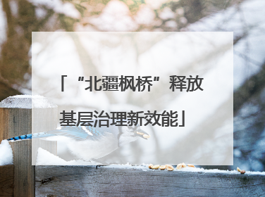 “北疆枫桥”释放基层治理新效能