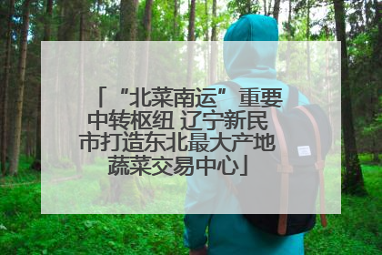 “北菜南运”重要中转枢纽 辽宁新民市打造东北最大产地蔬菜交易中心