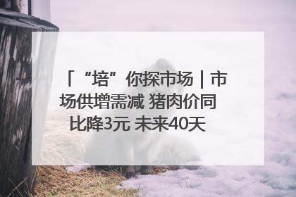 “培”你探市场｜市场供增需减 猪肉价同比降3元 未来40天便宜猪肉敞开吃