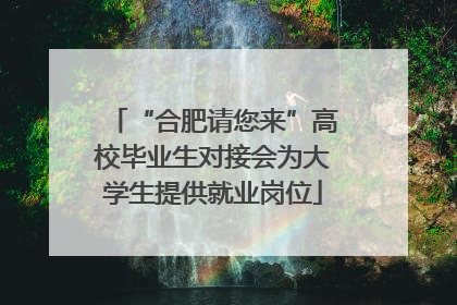 “合肥请您来”高校毕业生对接会为大学生提供就业岗位