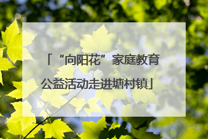 “向阳花”家庭教育公益活动走进塘村镇