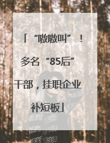 “嗷嗷叫”！多名“85后”干部，挂职企业补短板