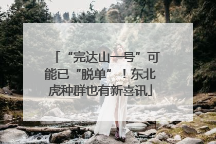 “完达山一号”可能已“脱单”！东北虎种群也有新喜讯