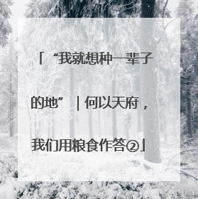 “我就想种一辈子的地”｜何以天府，我们用粮食作答②