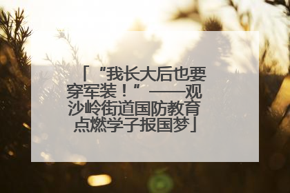 “我长大后也要穿军装！”——观沙岭街道国防教育点燃学子报国梦