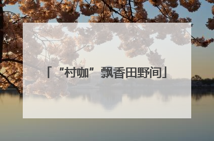 “村咖”飘香田野间