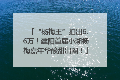“杨梅王”拍出6.6万！建阳首届小湖杨梅嘉年华酸甜出圈！