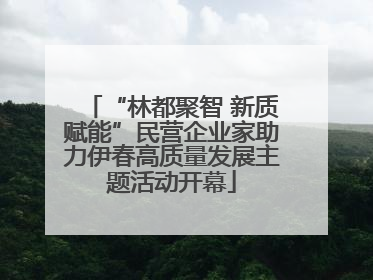 “林都聚智 新质赋能”民营企业家助力伊春高质量发展主题活动开幕