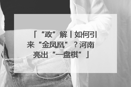 “政”解丨如何引来“金凤凰”？河南亮出“一盘棋”