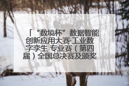 “数境杯”数据智能创新应用大赛·工业数字孪生 专业赛（第四届）全国总决赛及颁奖典礼成功举办