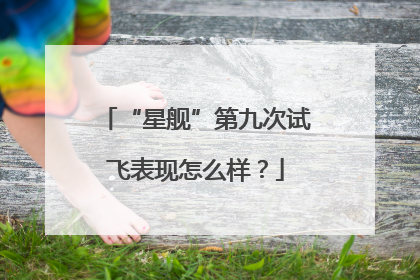 “星舰”第九次试飞表现怎么样？
