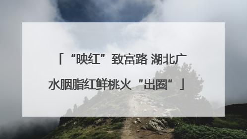 “映红”致富路 湖北广水胭脂红鲜桃火“出圈”