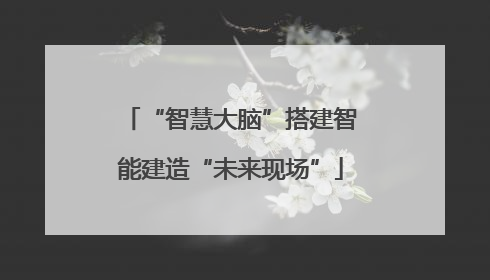 “智慧大脑”搭建智能建造“未来现场”
