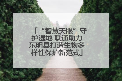 “智慧天眼”守护湿地 联通助力东明县打造生物多样性保护新范式