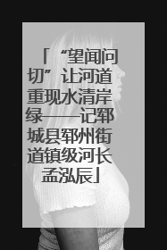 “望闻问切”让河道重现水清岸绿——记郓城县郓州街道镇级河长孟泓辰
