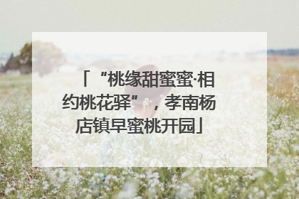 “桃缘甜蜜蜜·相约桃花驿”，孝南杨店镇早蜜桃开园