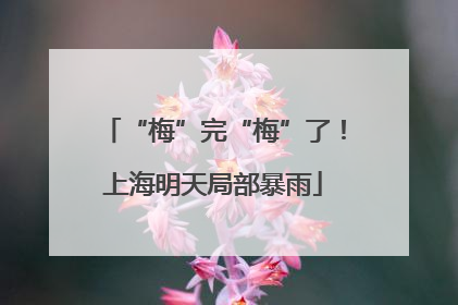 “梅”完“梅”了！上海明天局部暴雨