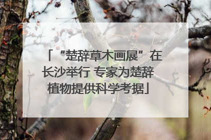 “楚辞草木画展”在长沙举行 专家为楚辞植物提供科学考据