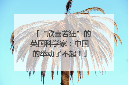 “欣喜若狂”的英国科学家：中国的举动了不起！