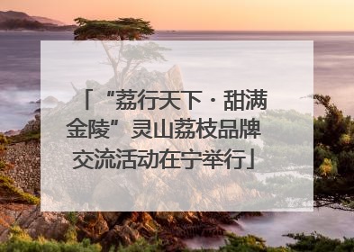 “荔行天下・甜满金陵”灵山荔枝品牌交流活动在宁举行