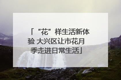 “花”样生活新体验 大兴区让市花月季走进日常生活